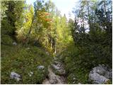 Stara Fužina - Planina pod Mišelj vrhom